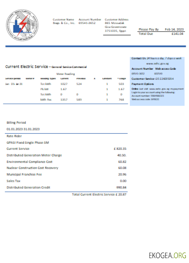 Facture commerciale du service public égyptien d'électricité, SCR